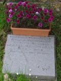 image of grave number 951957